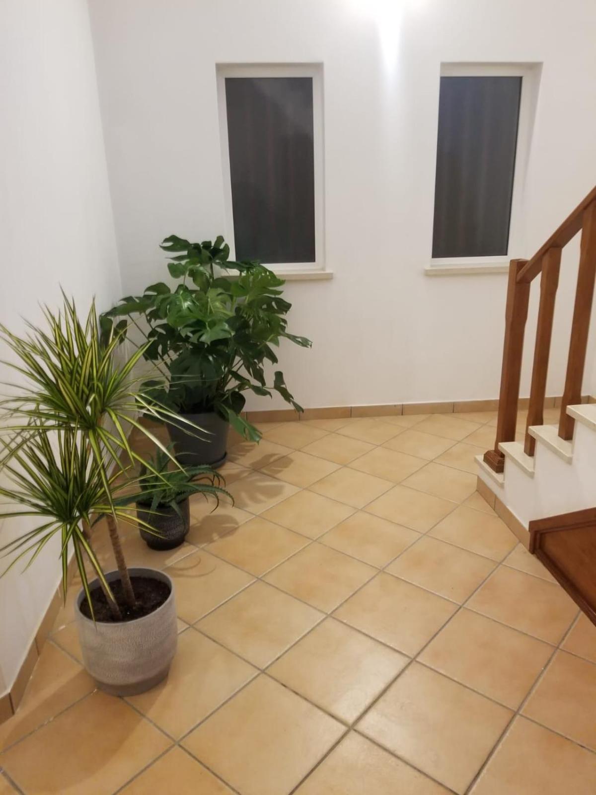Apartamento Le Parisien 1 Serra d'El-Rei Exterior foto